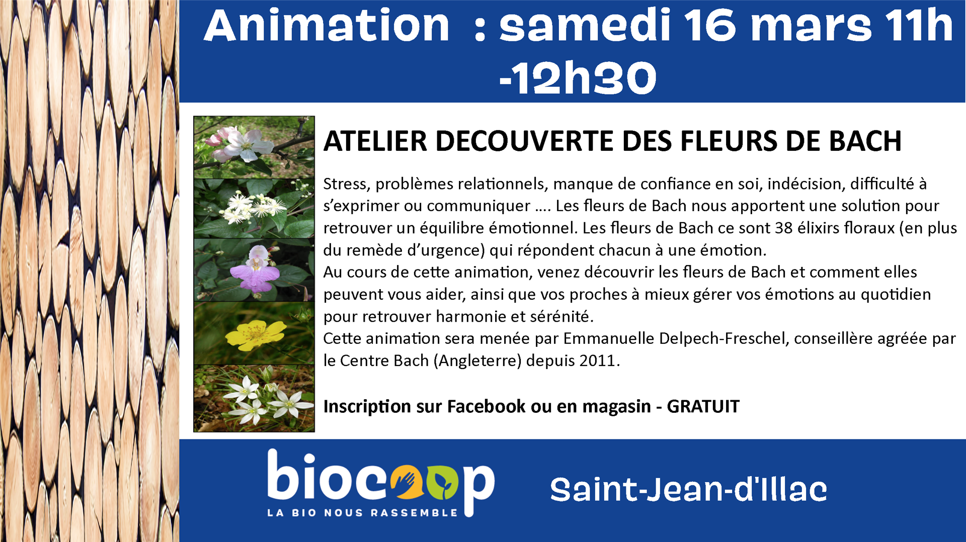 Atelier découverte des Fleurs de Bach Atelier découverte des Fleurs de Bach