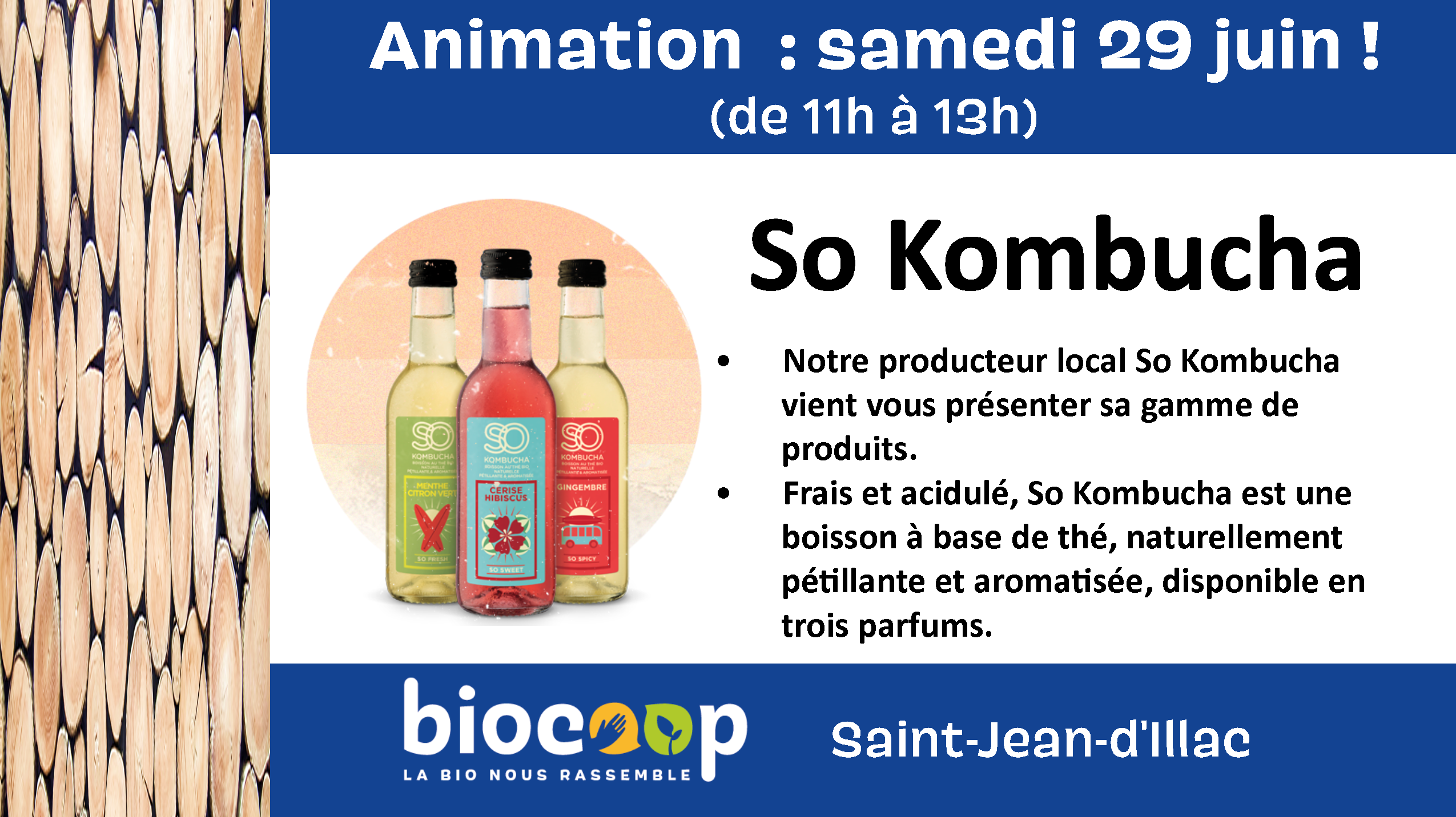Animation So Kombucha Animation So Kombucha
