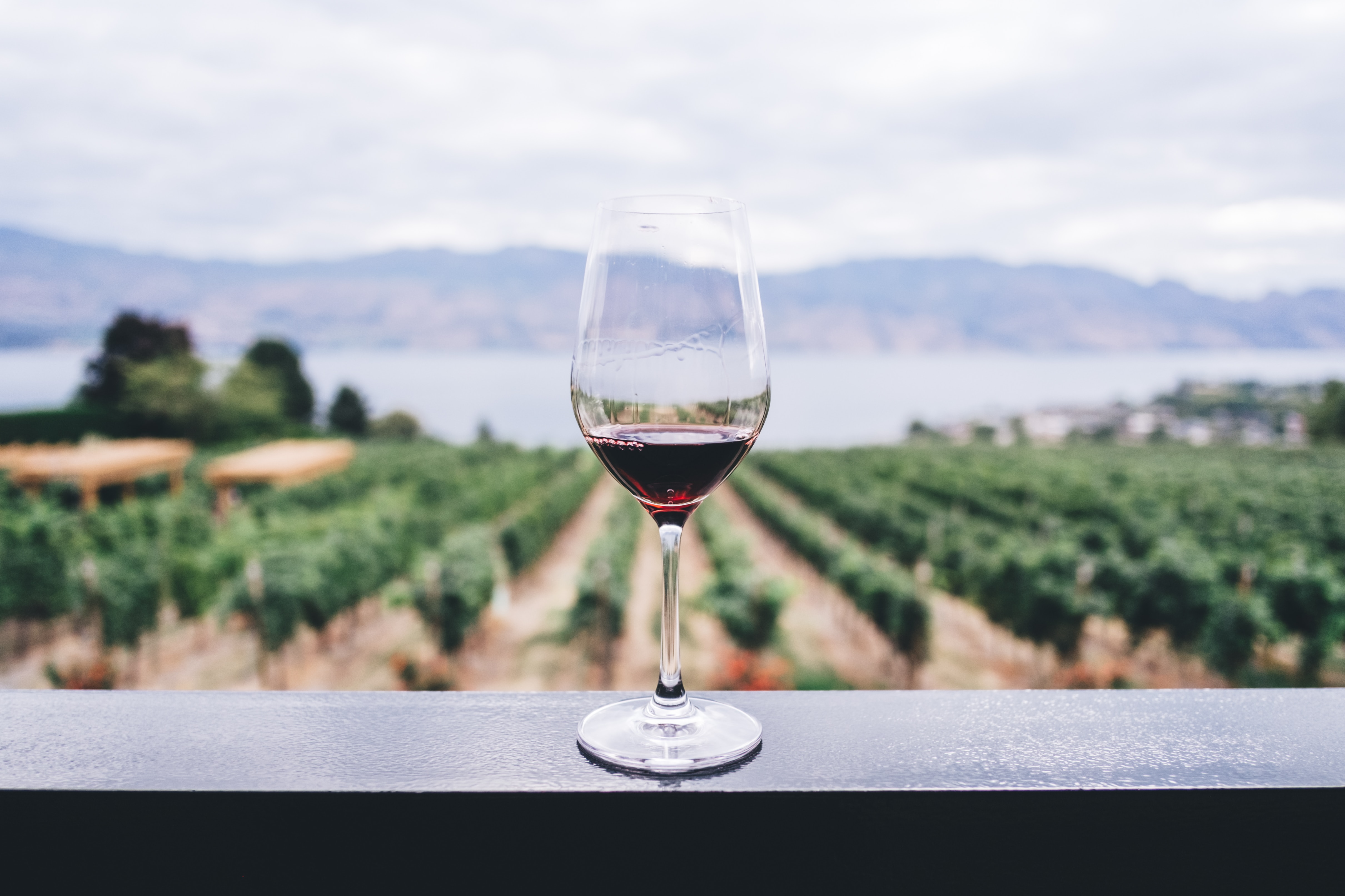 Dégustation de vin du Château Petit Roc Dégustation de vin du Château Petit Roc